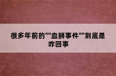 很多年前的""血狮事件""到底是咋回事